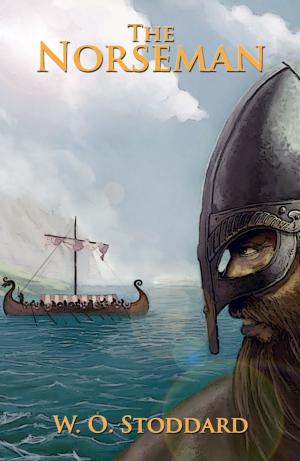 Cover of the book The Norseman by Dan McClure
