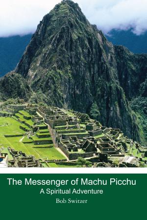 Cover of the book The Messenger of Machu Picchu by Henriette Fleischer