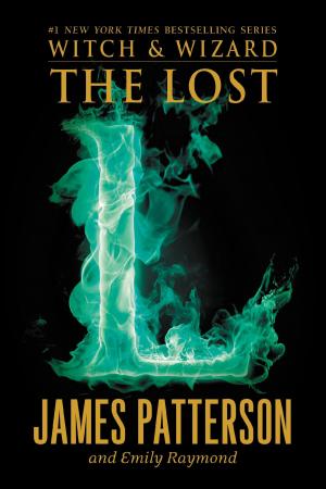 Cover of the book The Lost by Dan Simmons