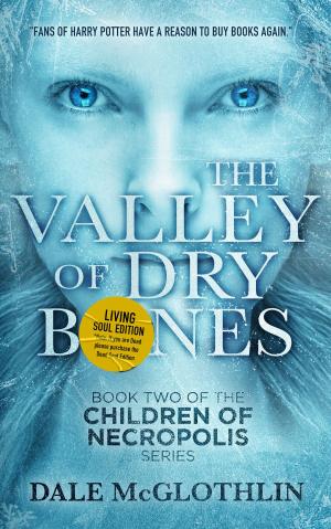 Cover of the book The Valley of Dry Bones by Jason James