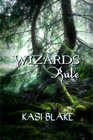 Cover of the book Wizards Rule by Greg R. Fishbone