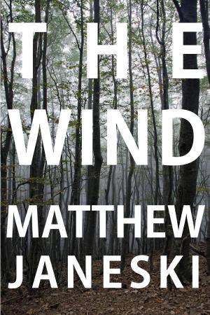 Cover of the book The Wind by Katherine Woodbury
