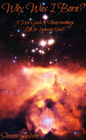 Cover of the book "Why Was I Born?' A Mini Guide to Understanding Life for Immortal Souls (The Immortal Soul Series, Part 1) by David Lavy
