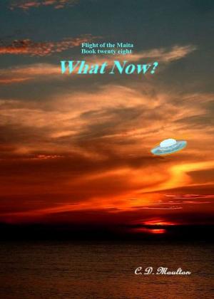 Cover of the book Flight of the Maita Book 28: What Now? by Dan Gallagher