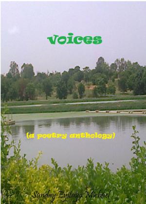 Cover of the book Voices by Jehan Saleh