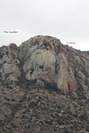 Book cover of The Ladder