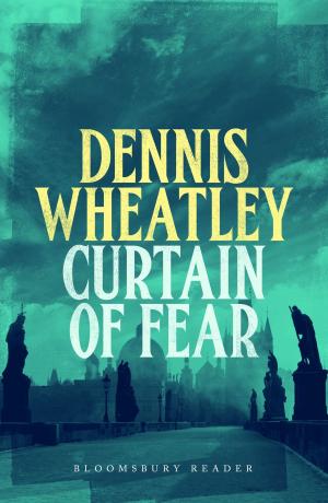 Cover of the book Curtain of Fear by Gordon Williamson