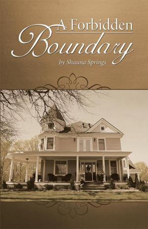 Cover of the book A Forbidden Boundary by Mark Montanus