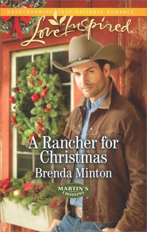 Book cover of A Rancher for Christmas