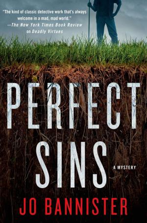Cover of the book Perfect Sins by Francis Ferry, Patrick Froger