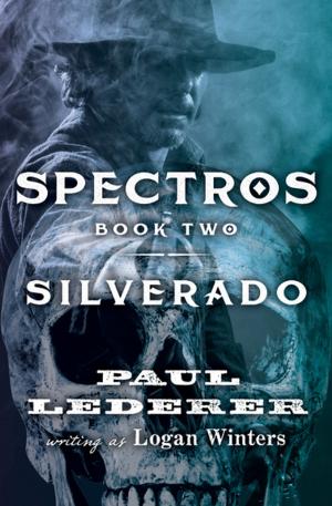 Cover of the book Silverado by JP Mackey