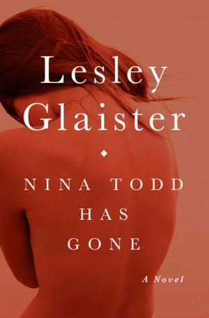 bigCover of the book Nina Todd Has Gone by 