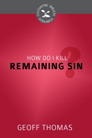 bigCover of the book How Do I Kill Remaining Sin? by 