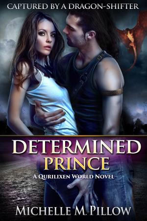 Cover of the book Determined Prince by Kimberly Lewis