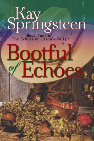 Cover of the book Bootful of Echoes by Tiffany King