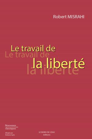 Cover of Le Travail de la liberté