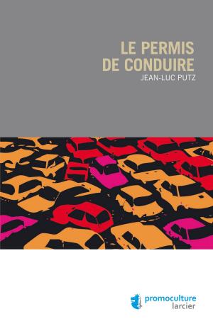 Cover of the book Le permis de conduire by David Giabbani