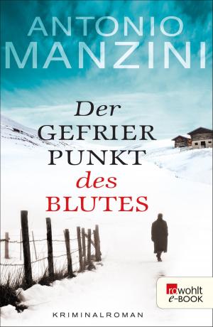 Cover of the book Der Gefrierpunkt des Blutes by Jon Fosse