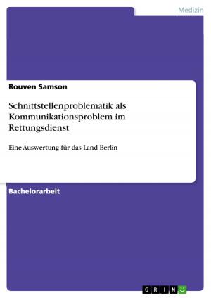 Cover of Schnittstellenproblematik als Kommunikationsproblem im Rettungsdienst