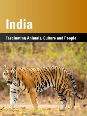 Cover of the book India by Ross Hilton