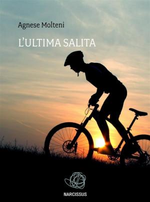 Cover of the book L'ultima salita by Jeffrey Crimmel