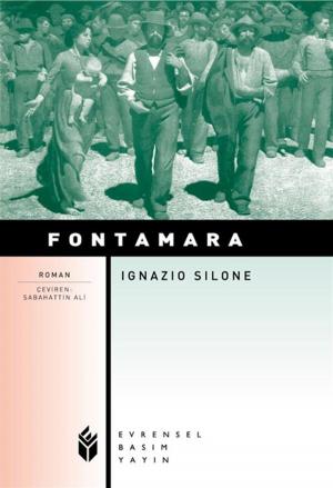 Cover of the book Fontamara by Melek Özlem Sezer