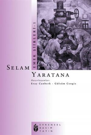 Book cover of Emek Şiirleri 1