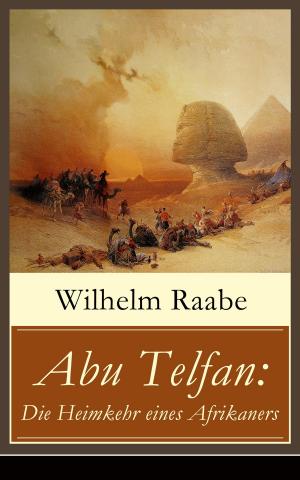 Cover of the book Abu Telfan: Die Heimkehr eines Afrikaners by Alexis de Tocqueville
