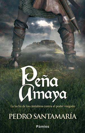 Cover of the book Peña Amaya by Merice Briffa