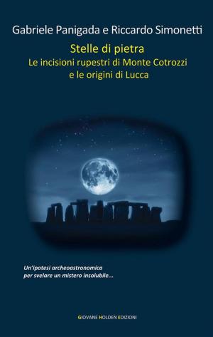 Cover of the book Stelle di pietra by Marta Leporatti