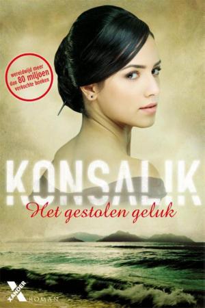 Cover of the book Het gestolen geluk by Luca D'Andrea