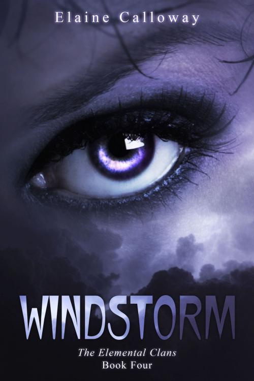 Cover of the book Windstorm by Elaine Calloway, The Writers Canvas, LLC