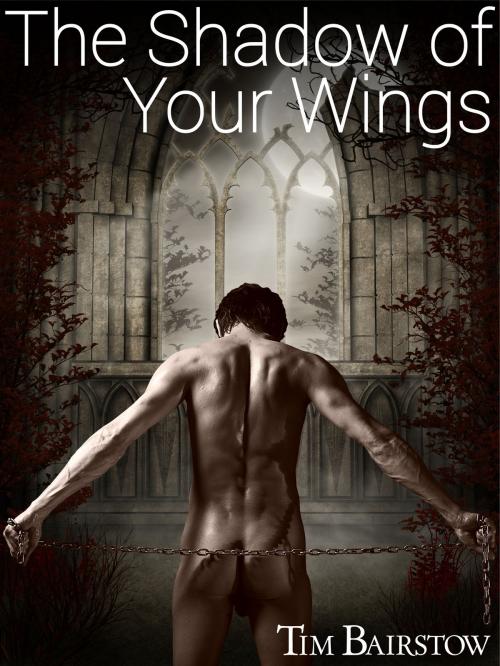 Cover of the book The Shadow of Your Wings by Tim Bairstow, Merlewood Press