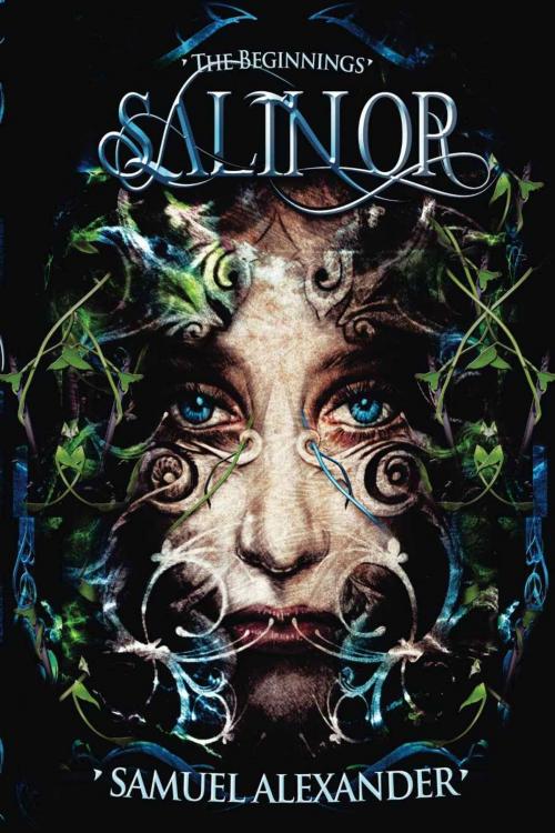 Cover of the book Salinor by Samuel Alexander, Samuel Alexander