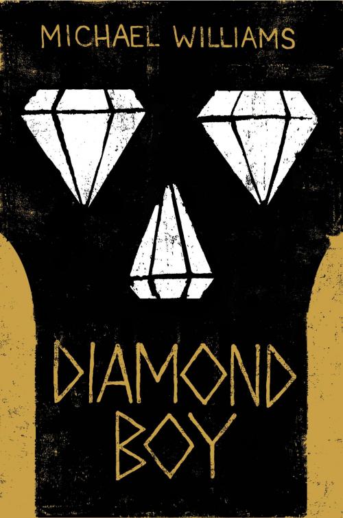 Cover of the book Diamond Boy by Michael Williams, Little, Brown Books for Young Readers