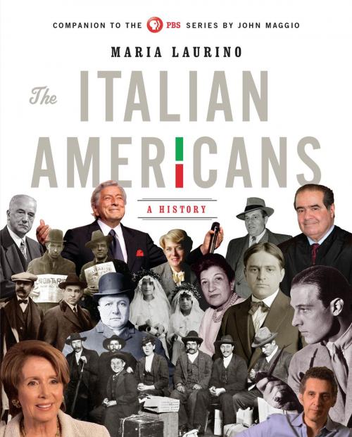 Cover of the book The Italian Americans: A History by Maria Laurino, W. W. Norton & Company