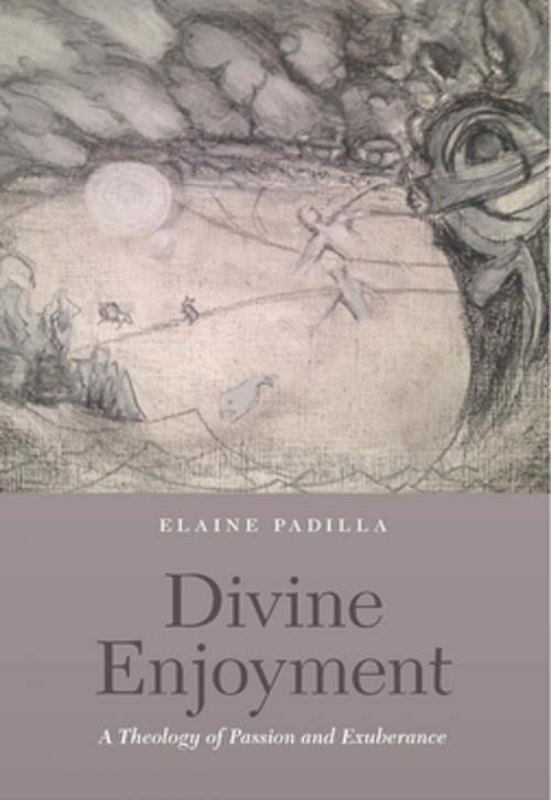 Cover of the book Divine Enjoyment by Elaine Padilla, Fordham University Press