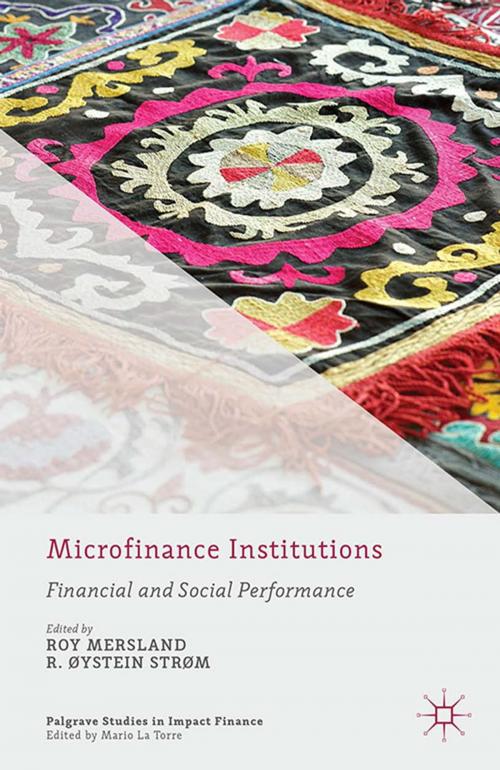 Cover of the book Microfinance Institutions by , Palgrave Macmillan UK