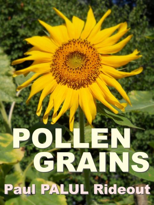 Cover of the book Pollen Grains by Paul Palul Rideout, Paul Palul Rideout
