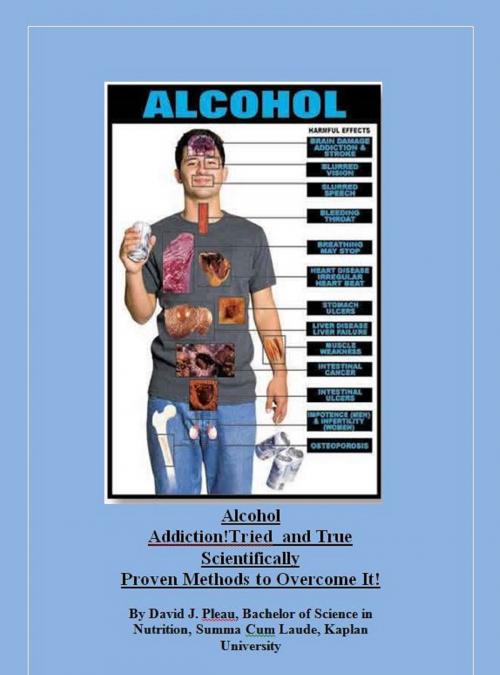 Cover of the book Alcoholism Recovery by David J. Pleau, David J. Pleau