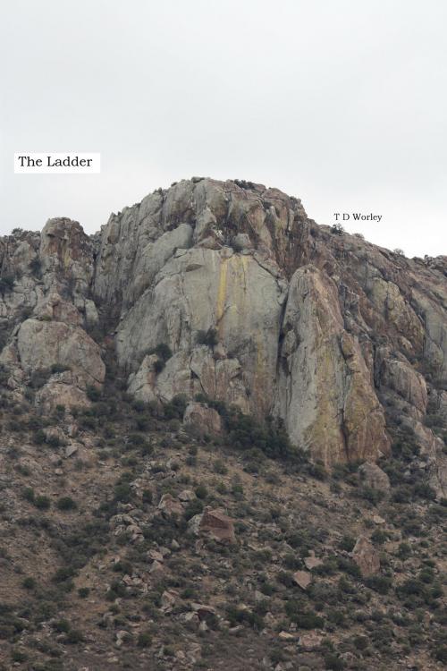 Cover of the book The Ladder by T D Worley, T D Worley