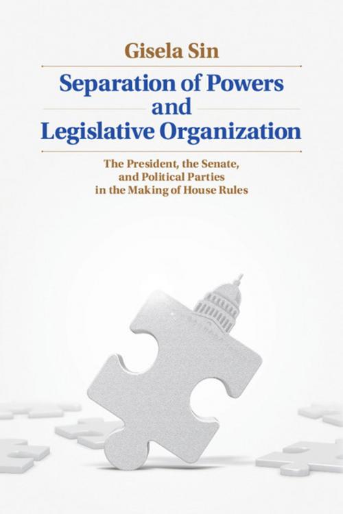 Cover of the book Separation of Powers and Legislative Organization by Gisela Sin, Cambridge University Press