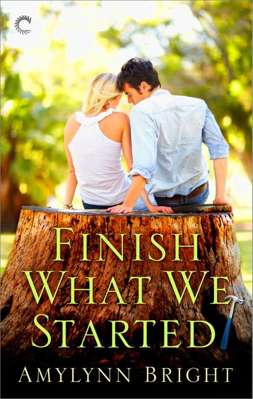 Cover of the book Finish What We Started by Amylynn Bright, Carina Press