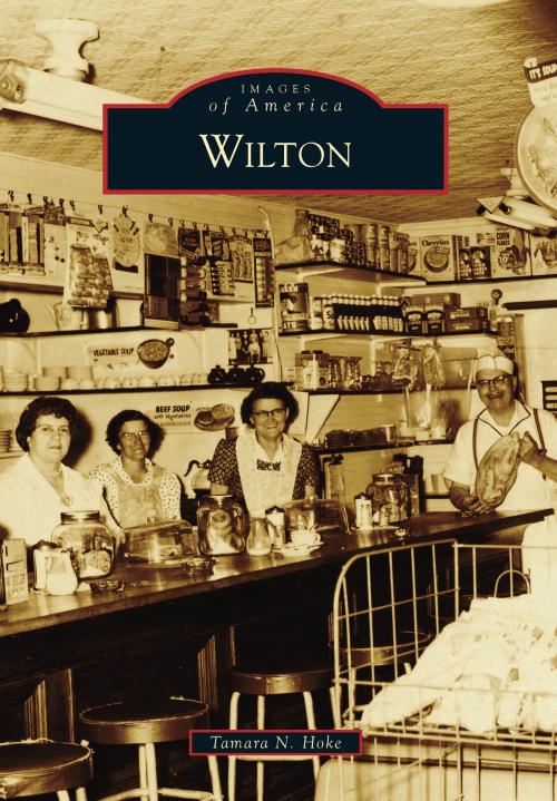 Cover of the book Wilton by Tamara N. Hoke, Arcadia Publishing Inc.