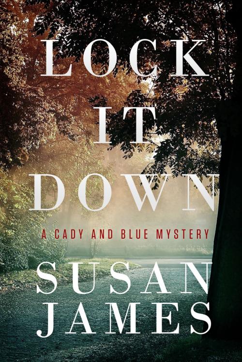 Cover of the book Lock it Down by Susan James, BookBaby