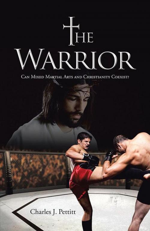 Cover of the book The Warrior by Charles J. Pettitt, WestBow Press