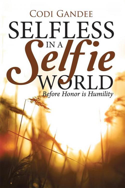 Cover of the book Selfless in a Selfie World by Codi Gandee, WestBow Press