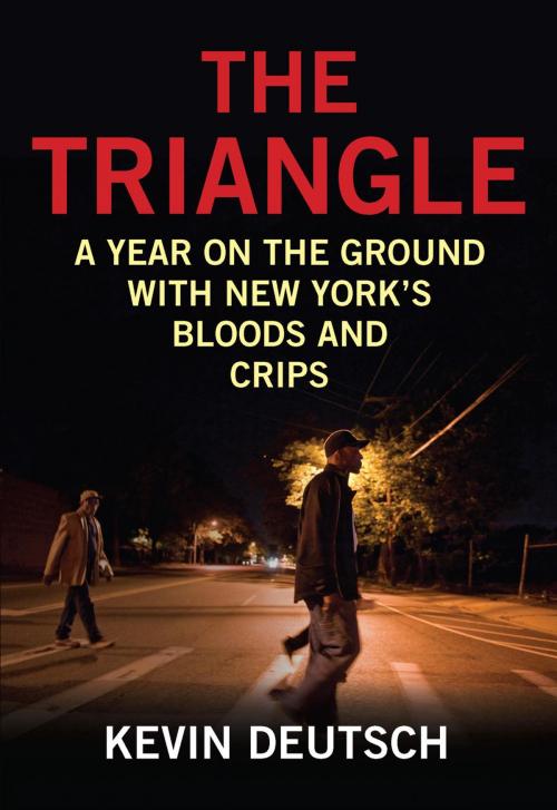 Cover of the book The Triangle by Kevin Deutsch, Lyons Press