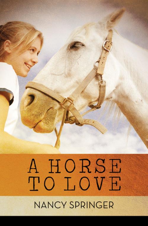 Cover of the book A Horse to Love by Nancy Springer, Open Road Media