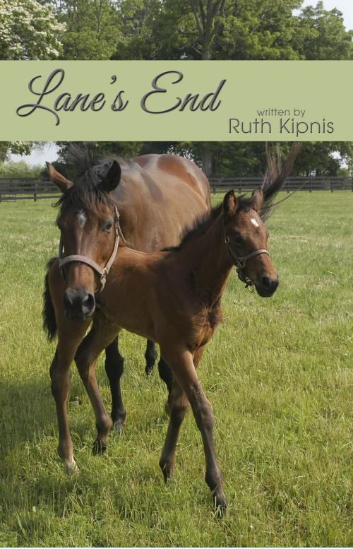 Cover of the book Lane's End by Ruth Kipnis, First Edition Design Publishing